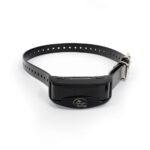 coleira sportdog nobark anti latidos sbc r e