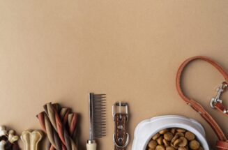pet accessories with food bowl treats