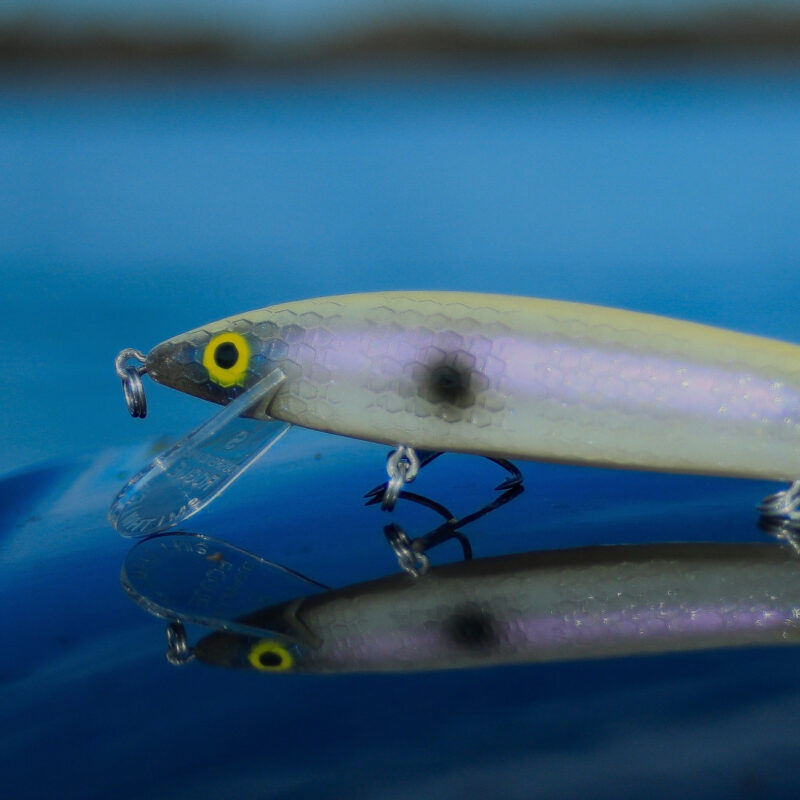 jerkbaits