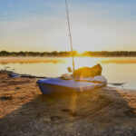 kayaks