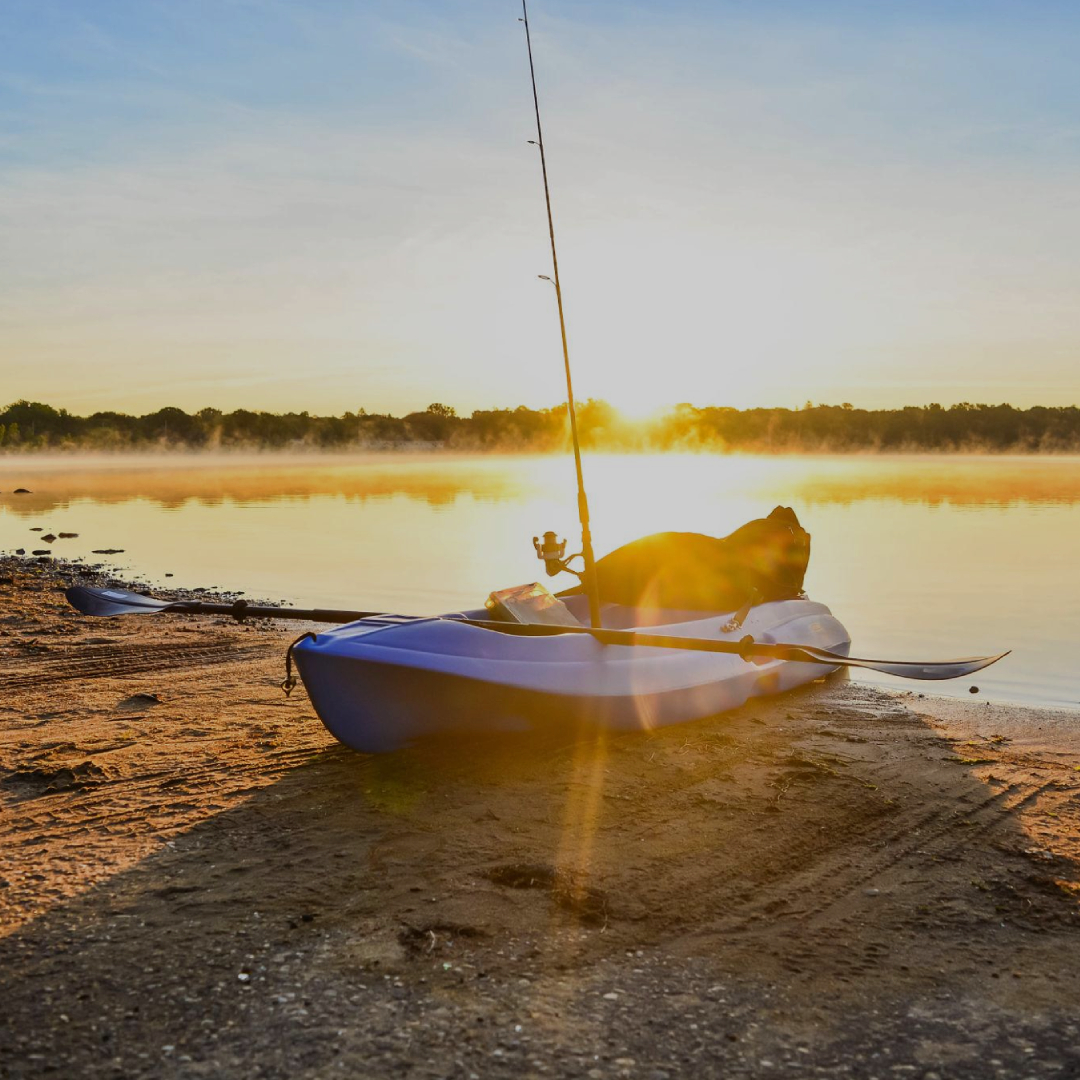 kayaks