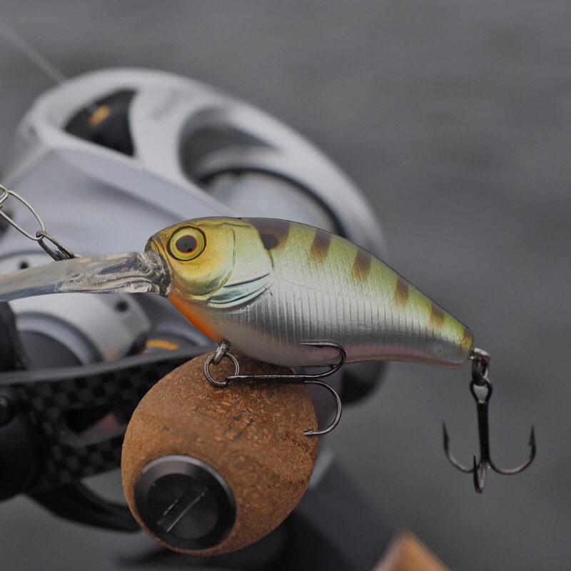 minnows