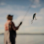 pesca